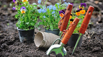 Easy Gardening Tips for Beginners