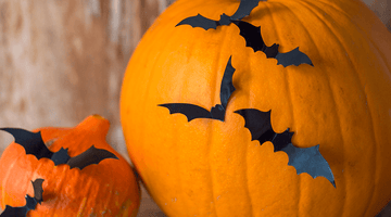 No-Carve Bat Pumpkin for Halloween