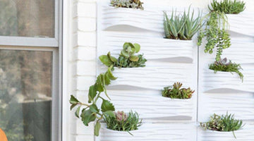 Clever Gardening Ideas for Small Spaces