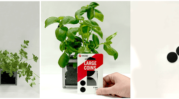 Make Your Own Indoor Herb Garden