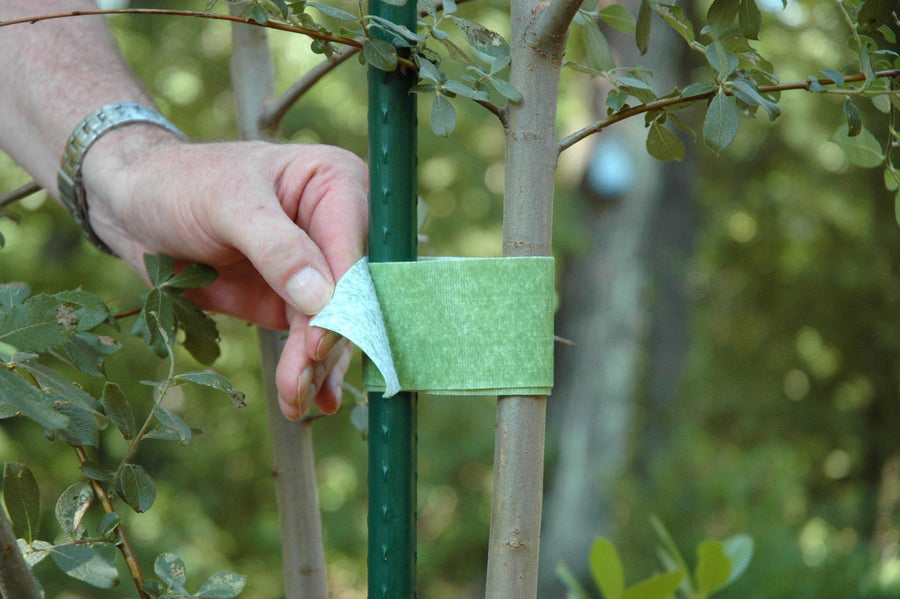 VELCRO® Brand ONE-WRAP® Tree Ties Plant Support Tape for Effective Growing | Strong Gardening Grips are Reusable and Adjustable | Cut-to-Length, 5.4m x 5cm Roll, Green-Recycled Plastic